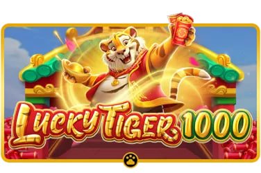Bangladesh users browsing live sports and casino content on hibaji apk